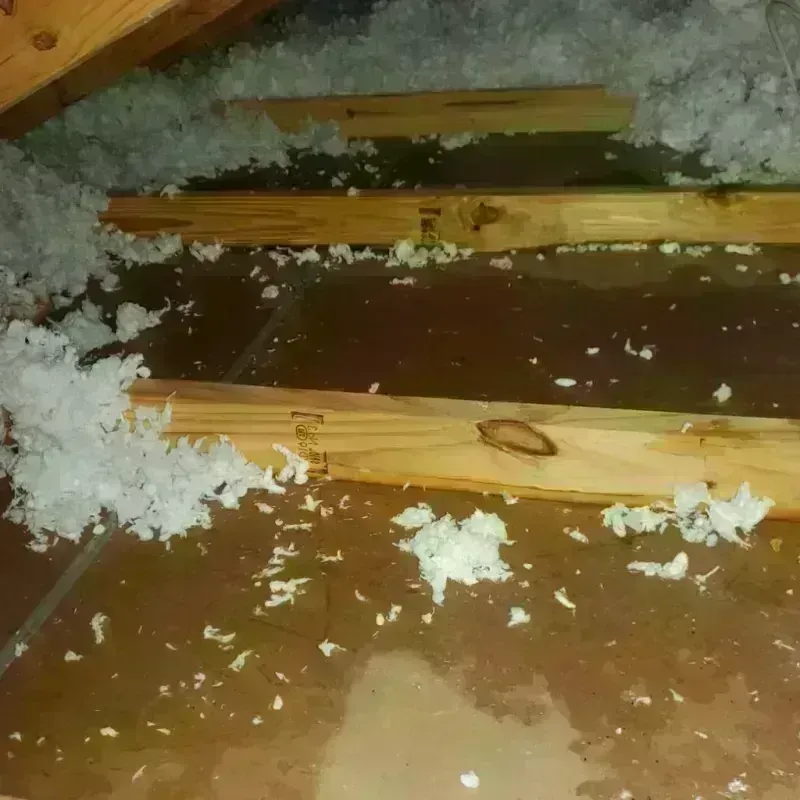 Attic Water Damage in East Lansing, MI