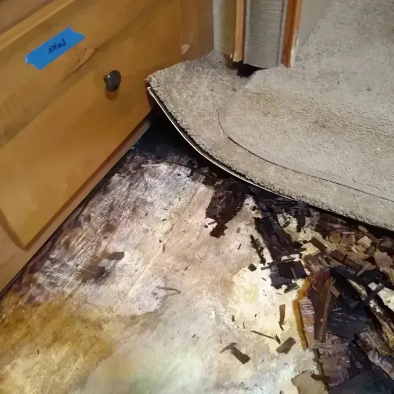 Wood Floor Water Damage in East Lansing, MI